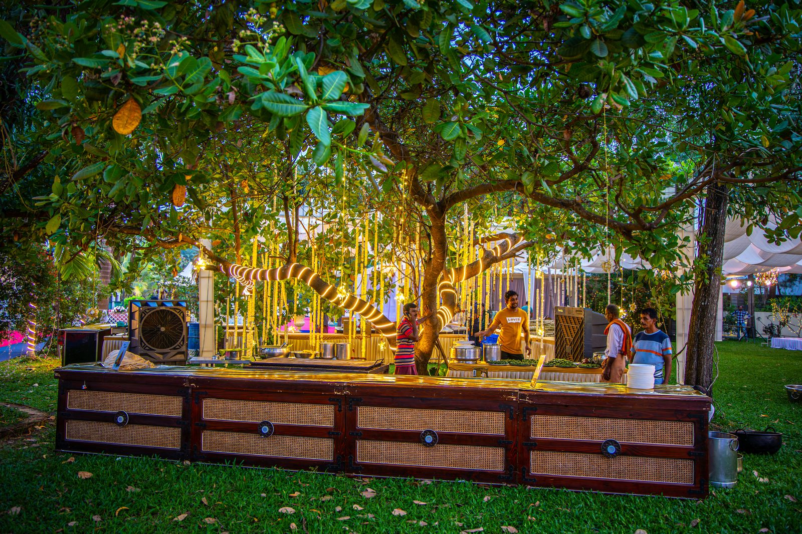 Banyan Tree at UVA Meridian Convention Centre