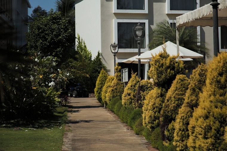 Garden path