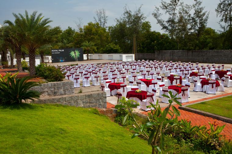 Royal Palm lawn
